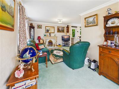 Picture 15